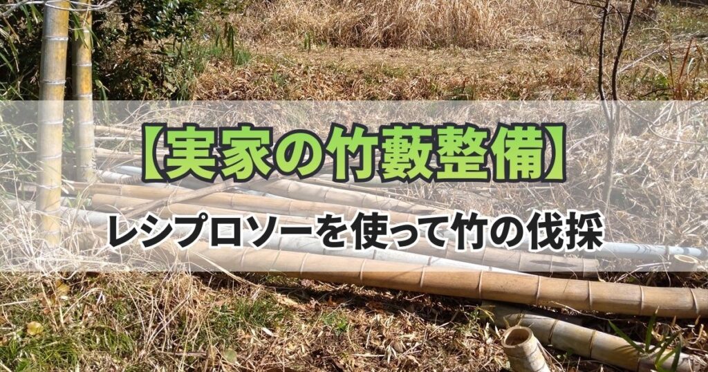 竹藪 整備 伐採 竹 レシプロソー