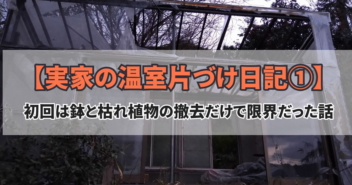 温室解体 片付け 観葉植物