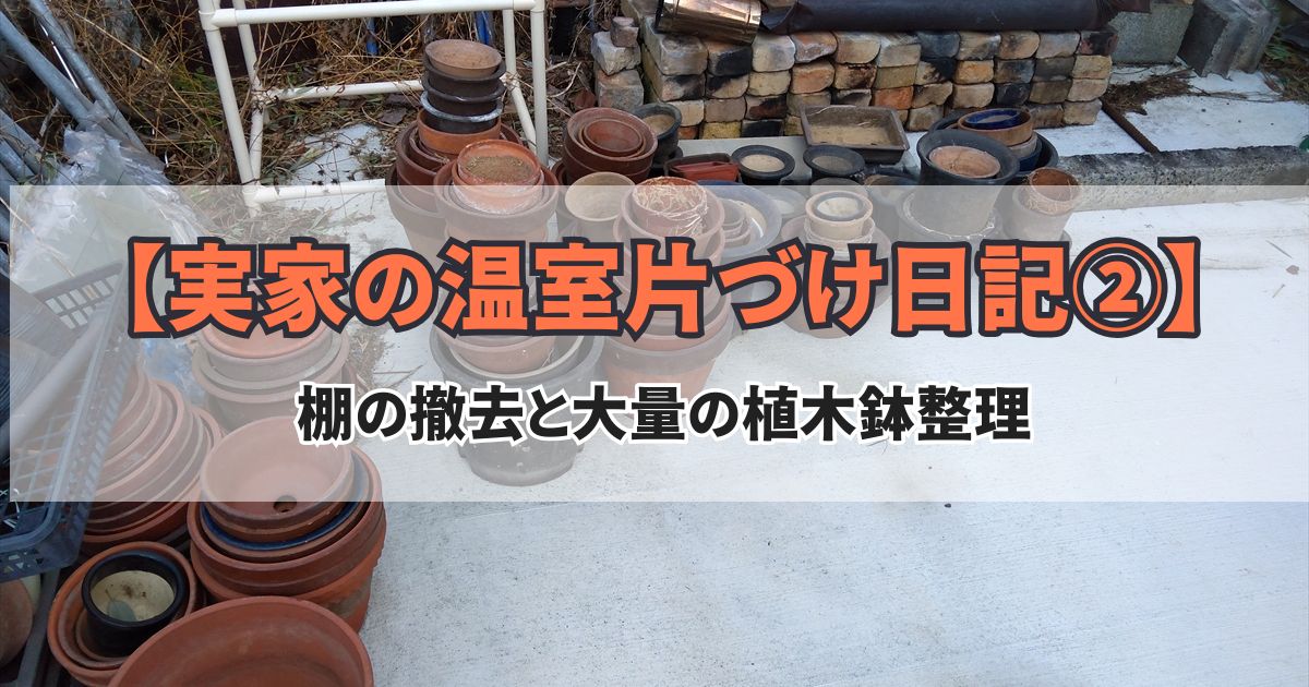 温室 片づけ 第2回 棚の撤去と植木鉢整理